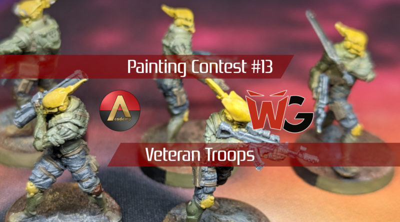 Painting Contest 013: Veteran Troops